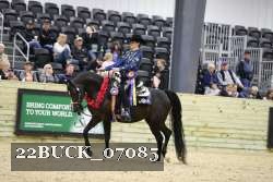 22BUCK_07085 proof