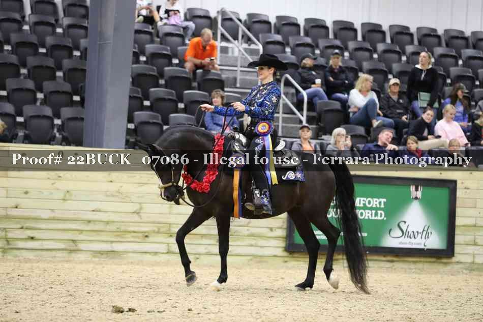 Proof 22BUCK_07086