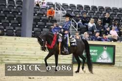 22BUCK_07086 proof