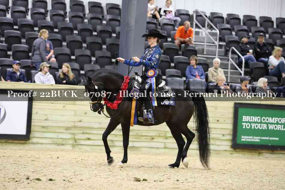 Proof 22BUCK_07087