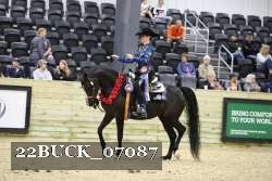 22BUCK_07087 proof