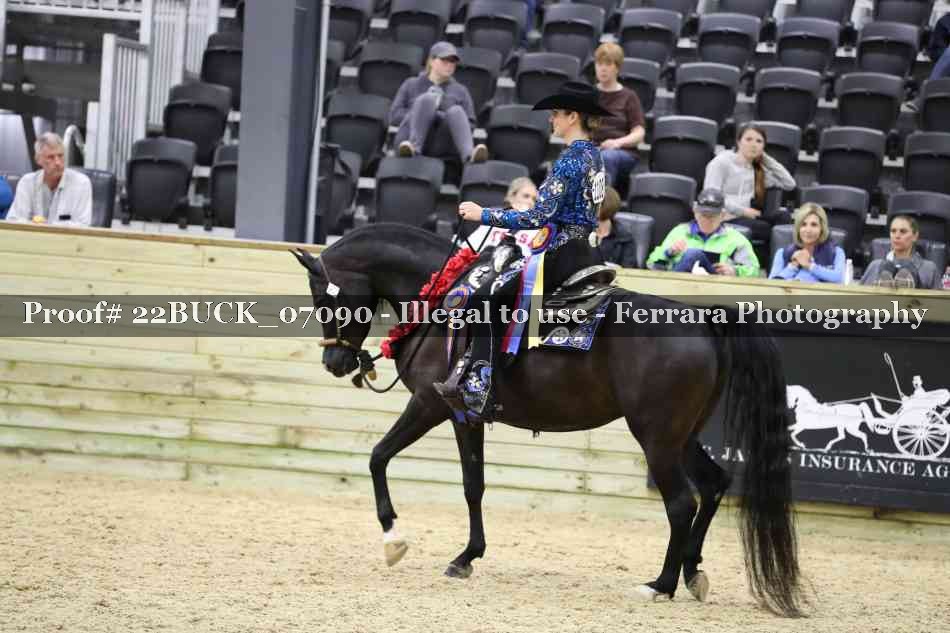 Proof 22BUCK_07090