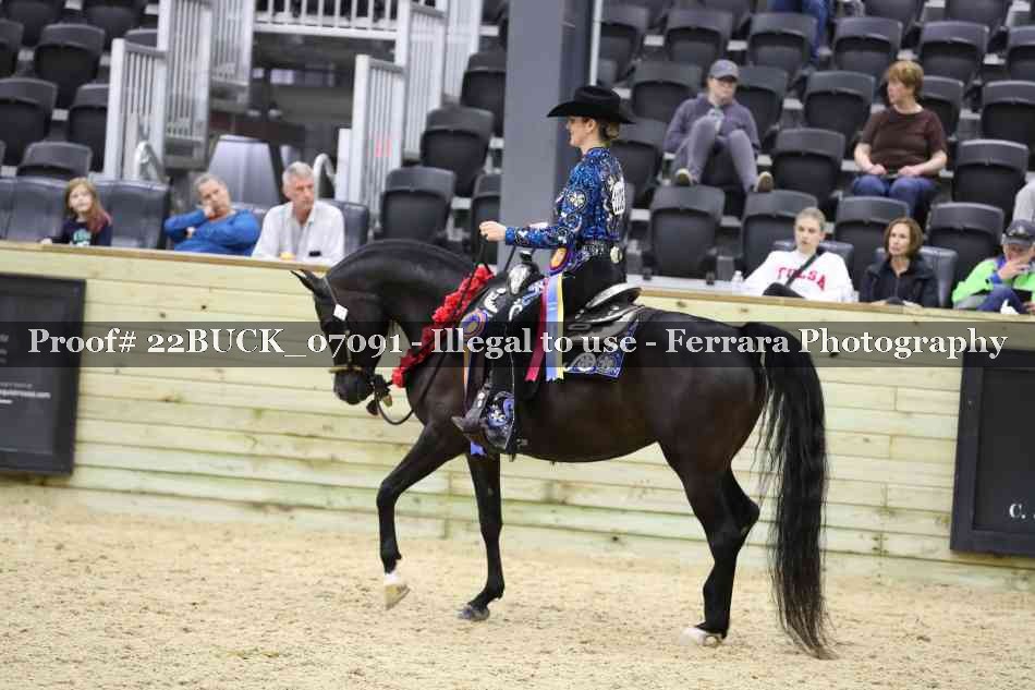 Proof 22BUCK_07091