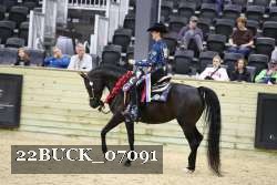 22BUCK_07091 proof