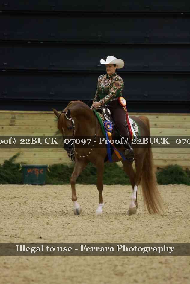 Proof 22BUCK_07097