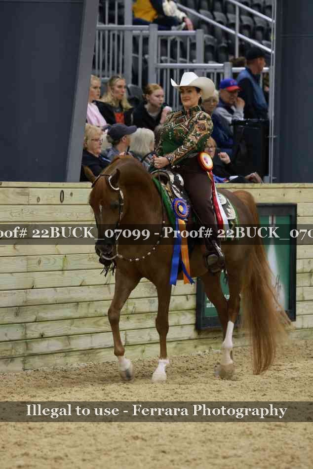Proof 22BUCK_07099