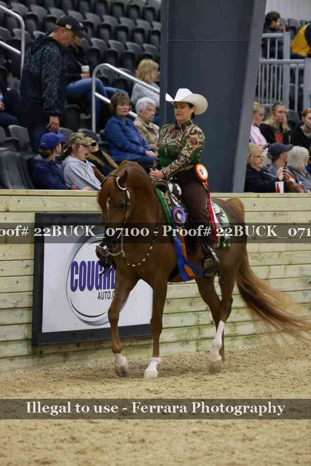 Proof 22BUCK_07100
