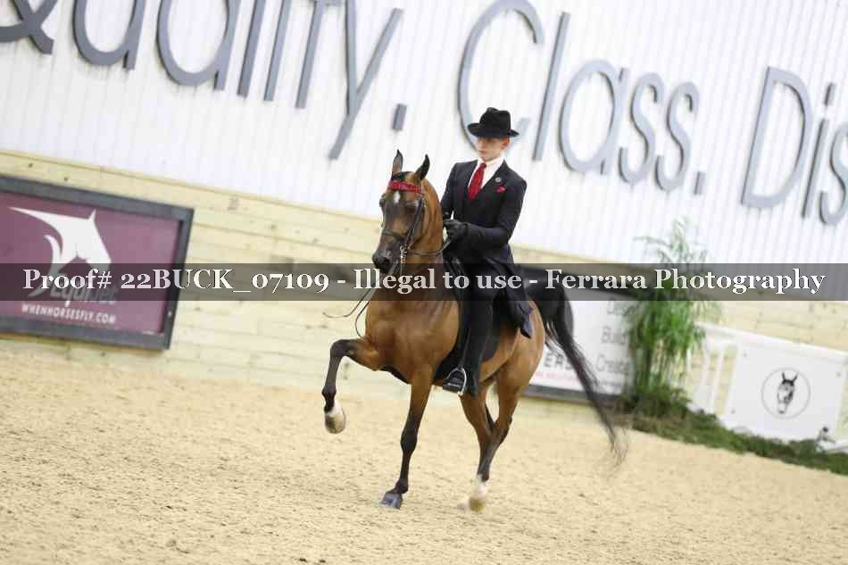 Proof 22BUCK_07109