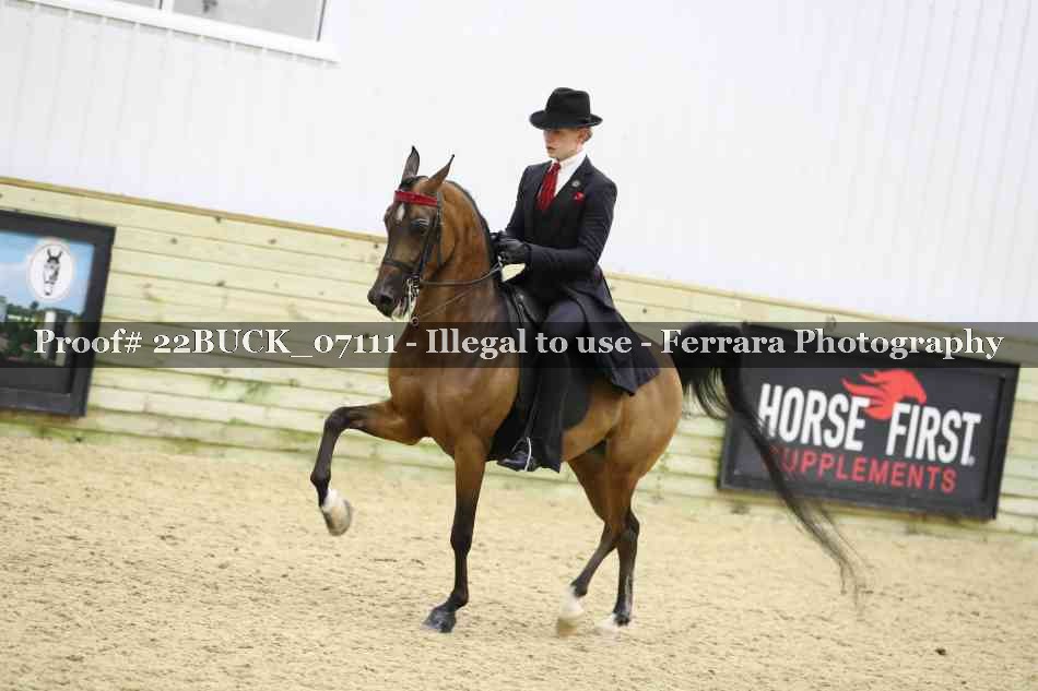 Proof 22BUCK_07111