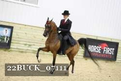 22BUCK_07111 proof
