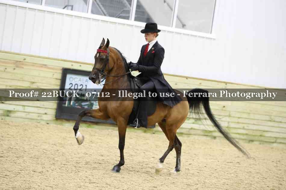 Proof 22BUCK_07112