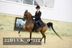22BUCK_07112 proof