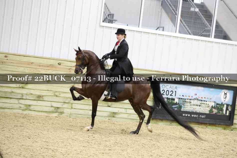 Proof 22BUCK_07113