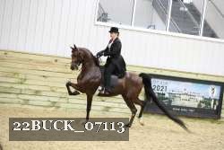 22BUCK_07113 proof