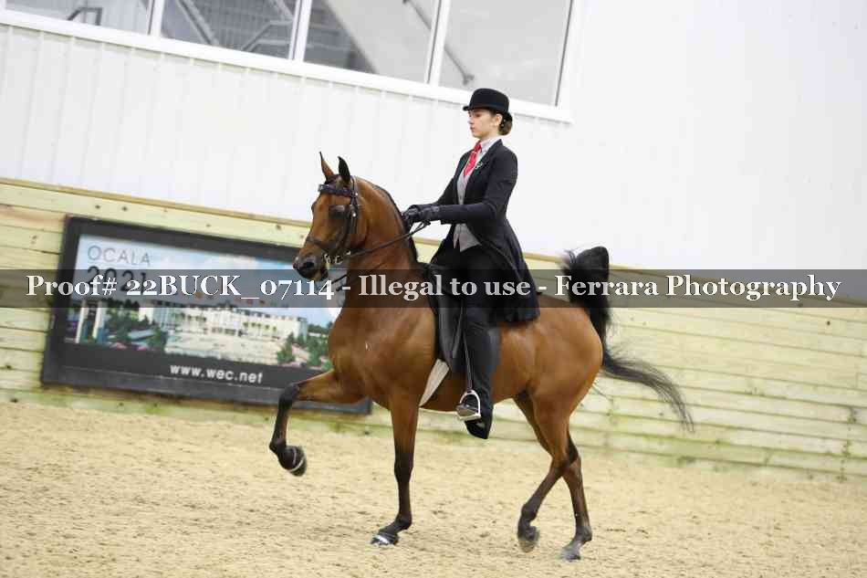 Proof 22BUCK_07114