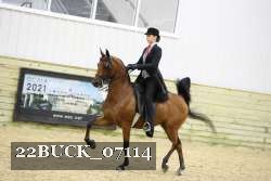22BUCK_07114 proof