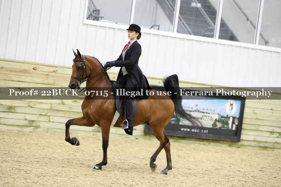 Proof 22BUCK_07115