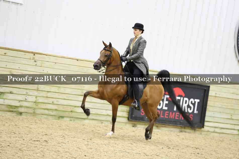 Proof 22BUCK_07116