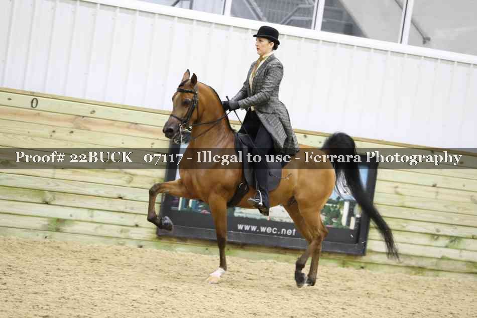Proof 22BUCK_07117