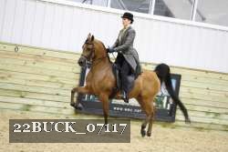 22BUCK_07117 proof