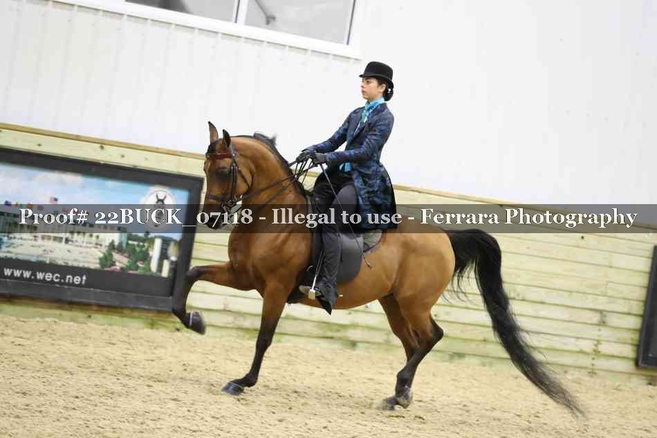 Proof 22BUCK_07118