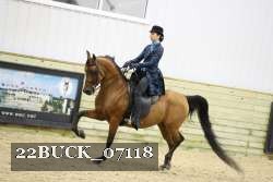 22BUCK_07118 proof