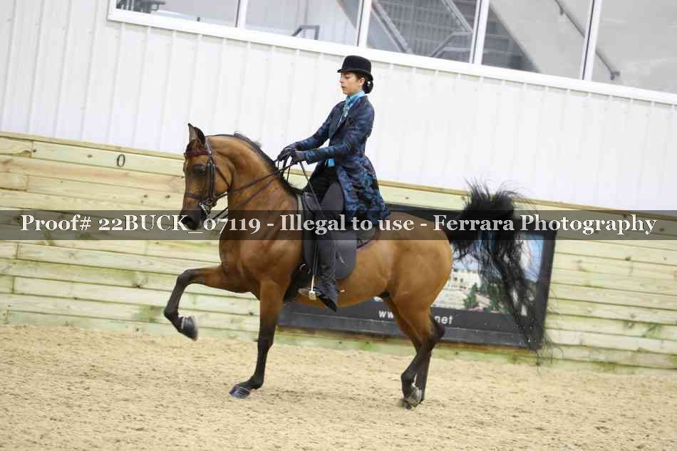 Proof 22BUCK_07119