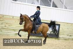 22BUCK_07119 proof