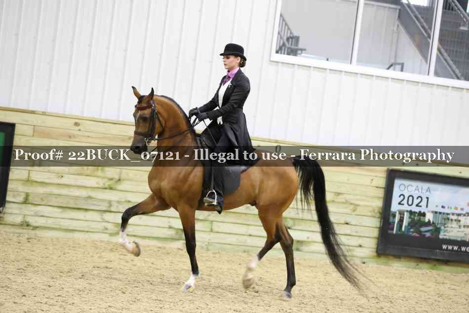 Proof 22BUCK_07121