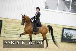 22BUCK_07121 proof