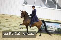 22BUCK_07122 proof