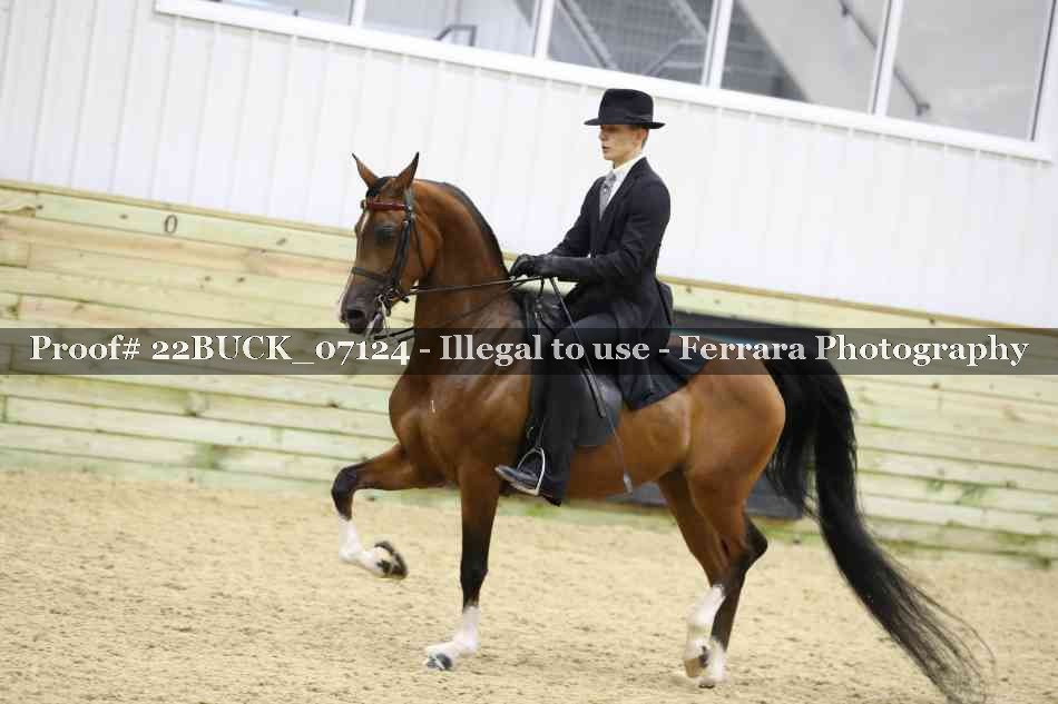 Proof 22BUCK_07124