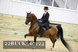 22BUCK_07124 proof