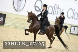 22BUCK_07125 proof