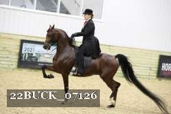 22BUCK_07126 proof
