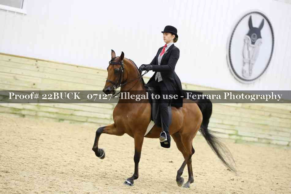 Proof 22BUCK_07127