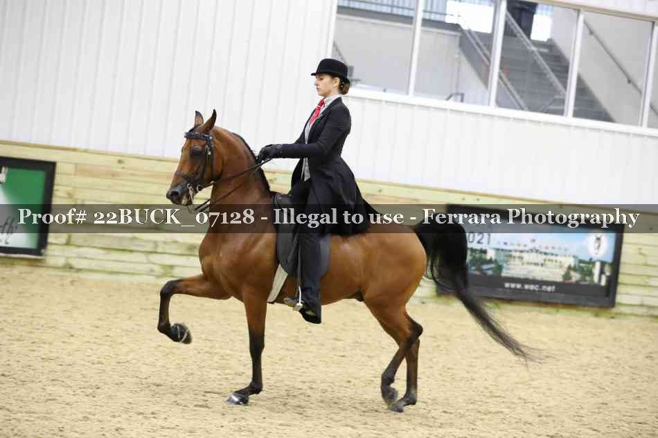Proof 22BUCK_07128