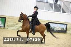 22BUCK_07128 proof