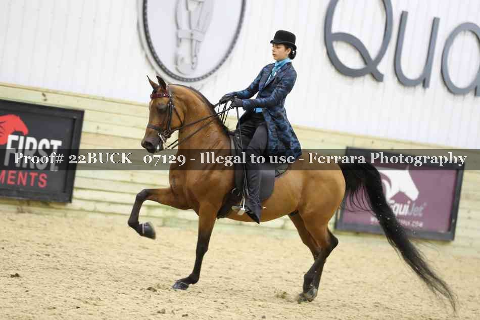 Proof 22BUCK_07129