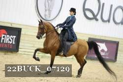 22BUCK_07129 proof