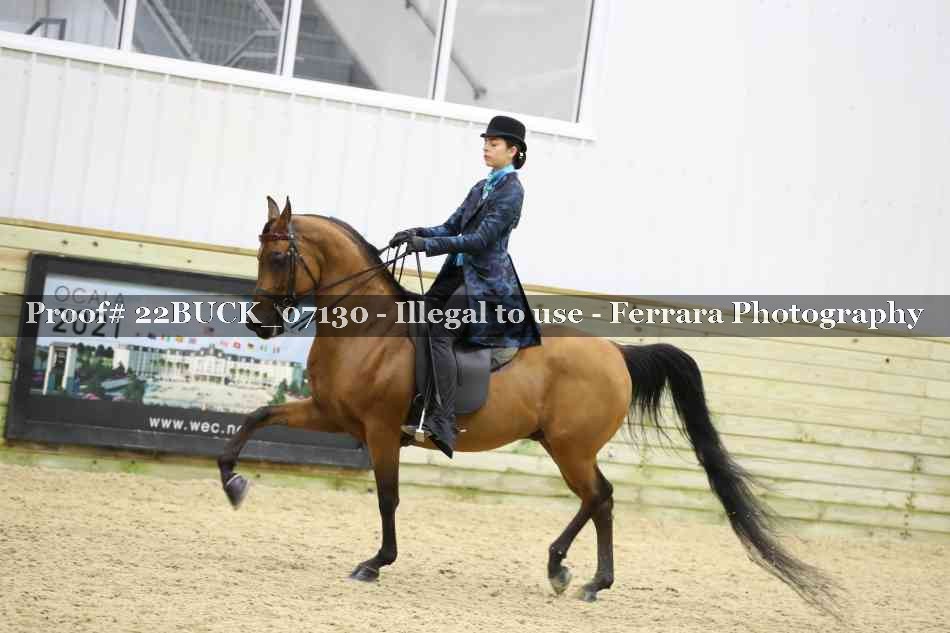 Proof 22BUCK_07130