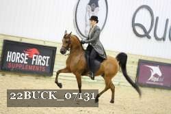 22BUCK_07131 proof