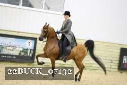 22BUCK_07132 proof