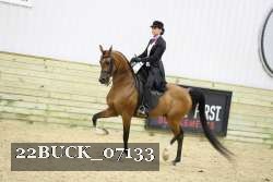22BUCK_07133 proof
