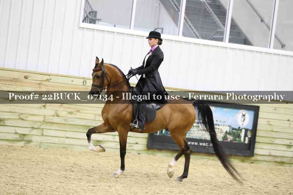 Proof 22BUCK_07134