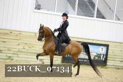 22BUCK_07134 proof