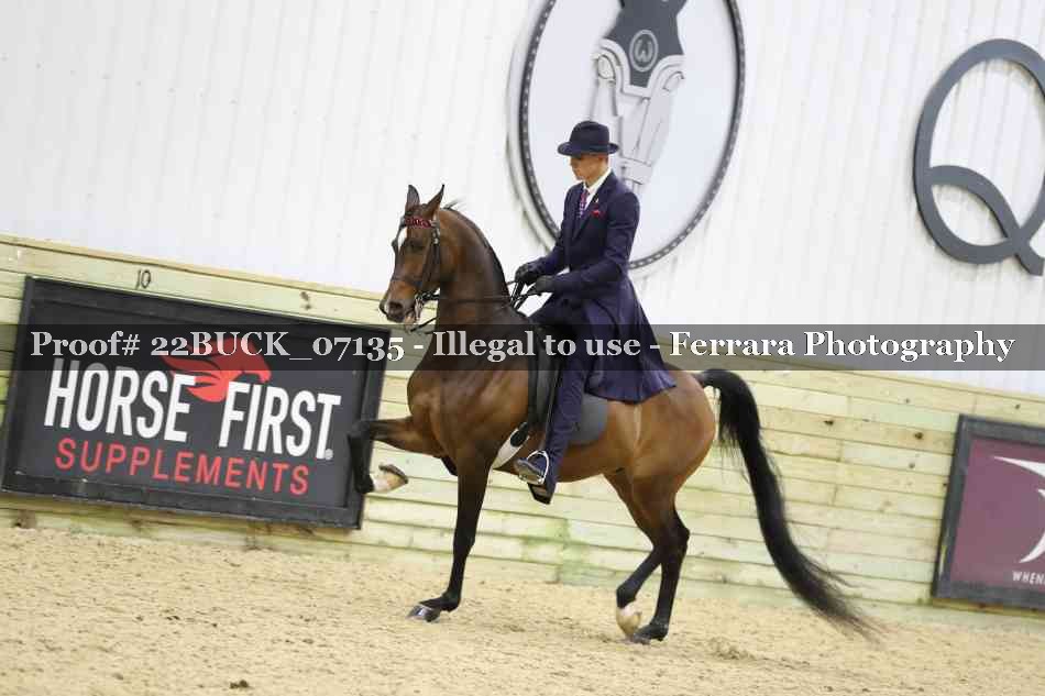 Proof 22BUCK_07135