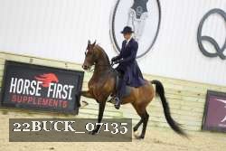 22BUCK_07135 proof