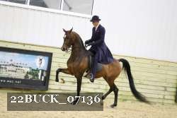 22BUCK_07136 proof