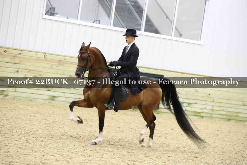 Proof 22BUCK_07137